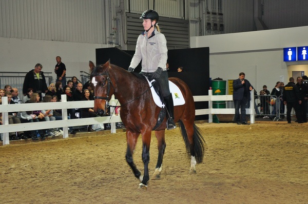 Pferd u Jagd   083.jpg